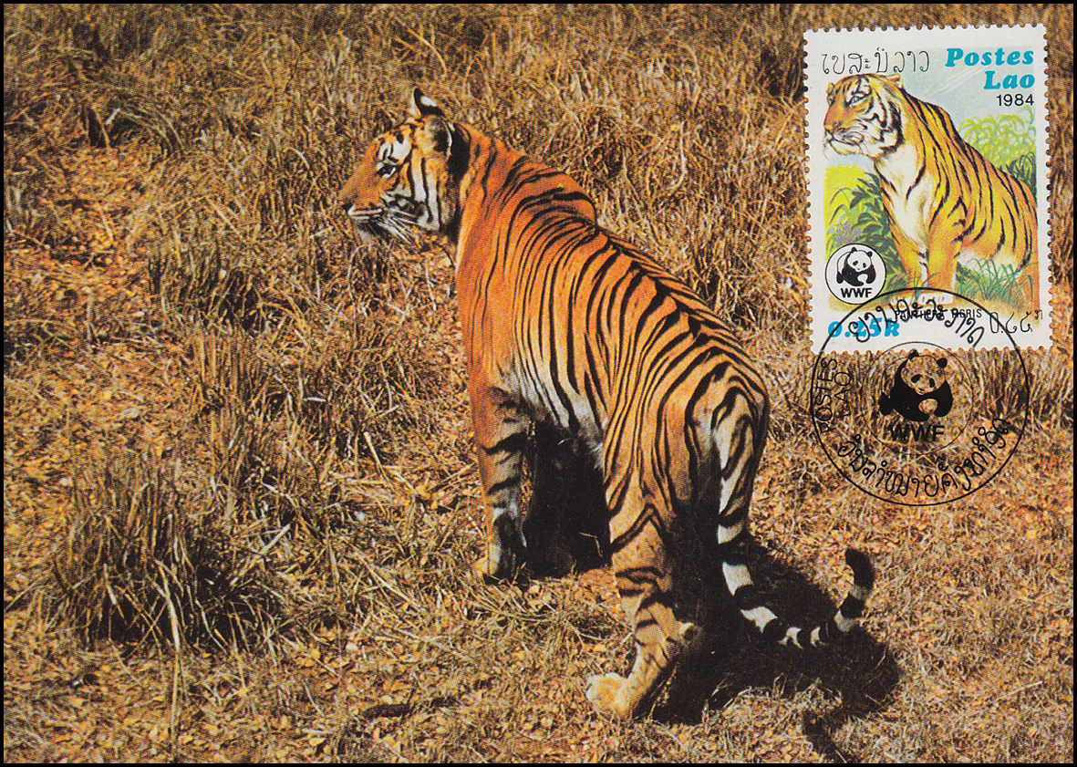 WWF World Wildlife Laos Indischer Tiger 1984, auf zwei Maximumkarten ...