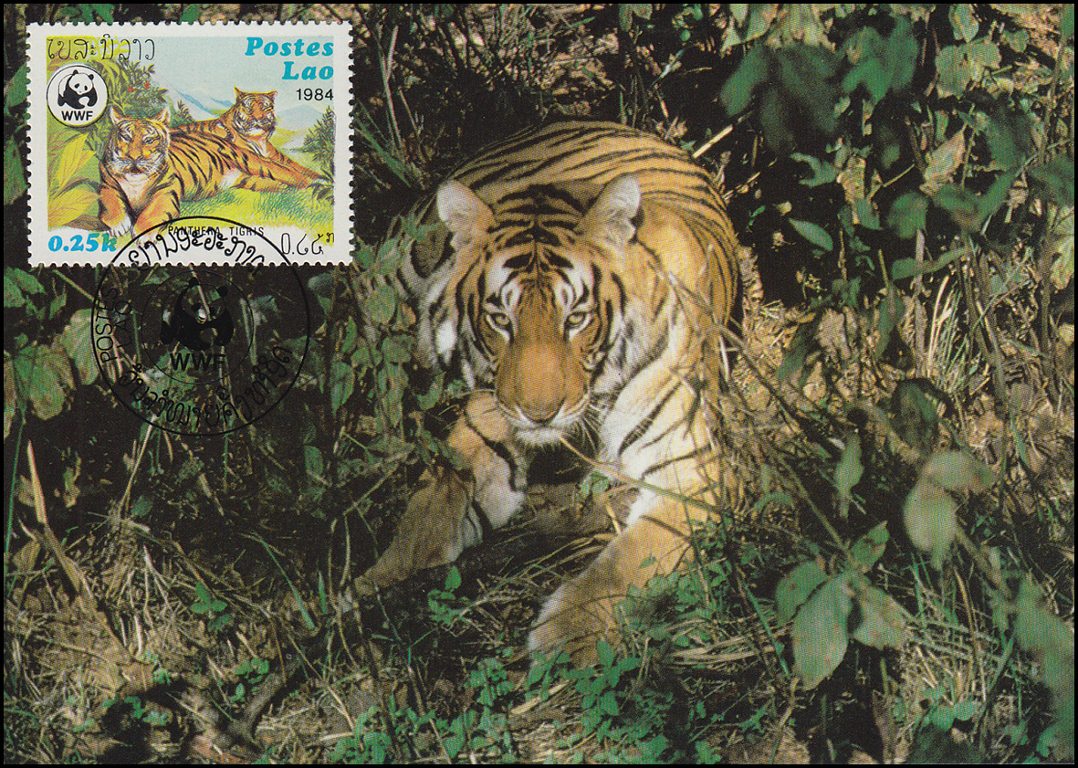 WWF World Wildlife Laos Indischer Tiger 1984, auf zwei Maximumkarten ...