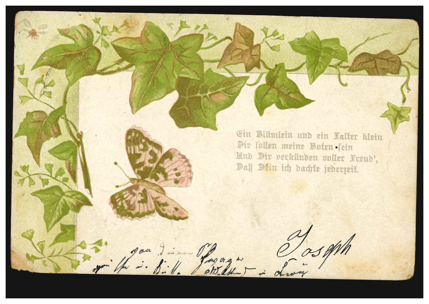 AK Efeu mit Schmetterling, Gedicht Ein Blümlein und ein Falter klein...  31.12.05 · PHILMASTER