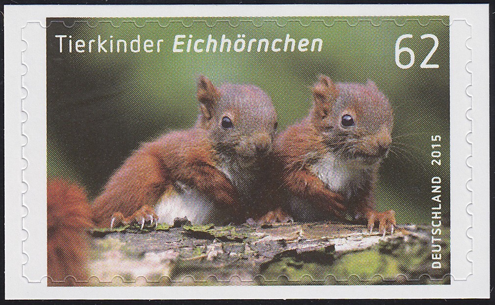 128 Stück Eichhörnchen Aufkleber - Wasserdichte Vinyl-Sticker Für Scrapbooking & Dekoration
